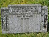 image of grave number 966721